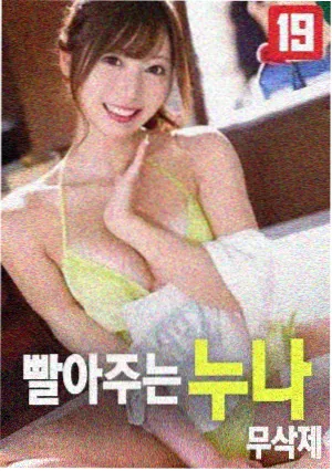 野猪电影在线播放 肖申克的救赎